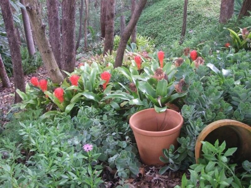 1 Caplick Outlook, Ormeau QLD 4208