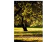 Hawthorn East VIC 3123