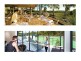 Peregian Springs QLD 4573
