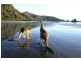 Mackay QLD 4740