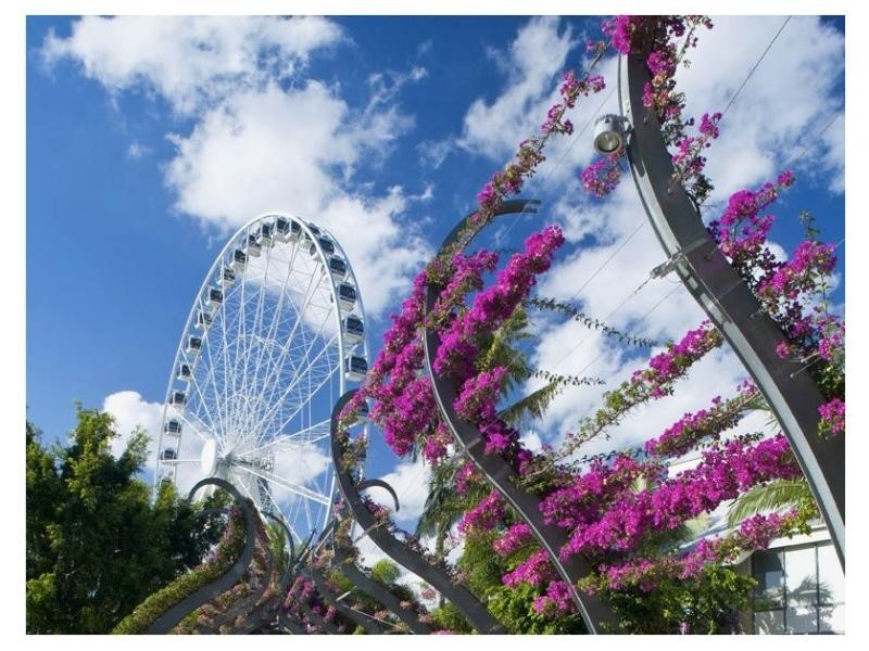 Kangaroo Point QLD 4169