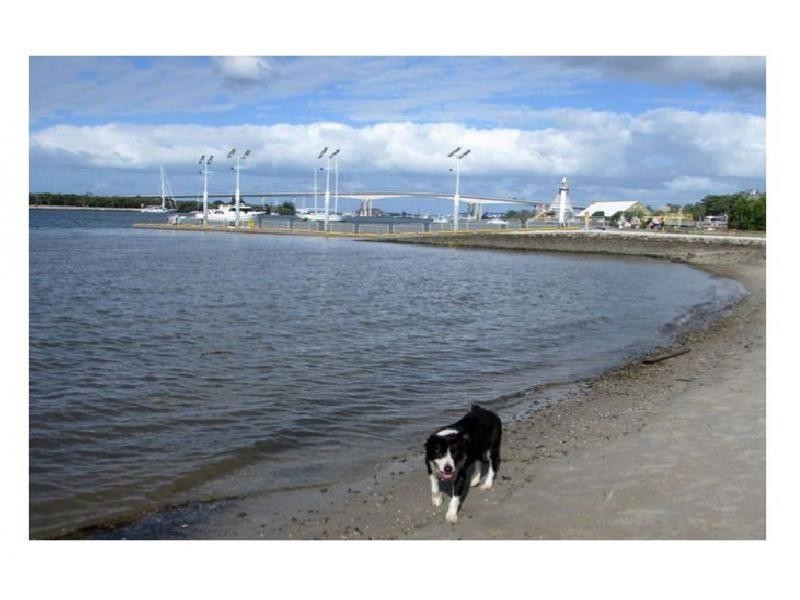 Morningside QLD 4170