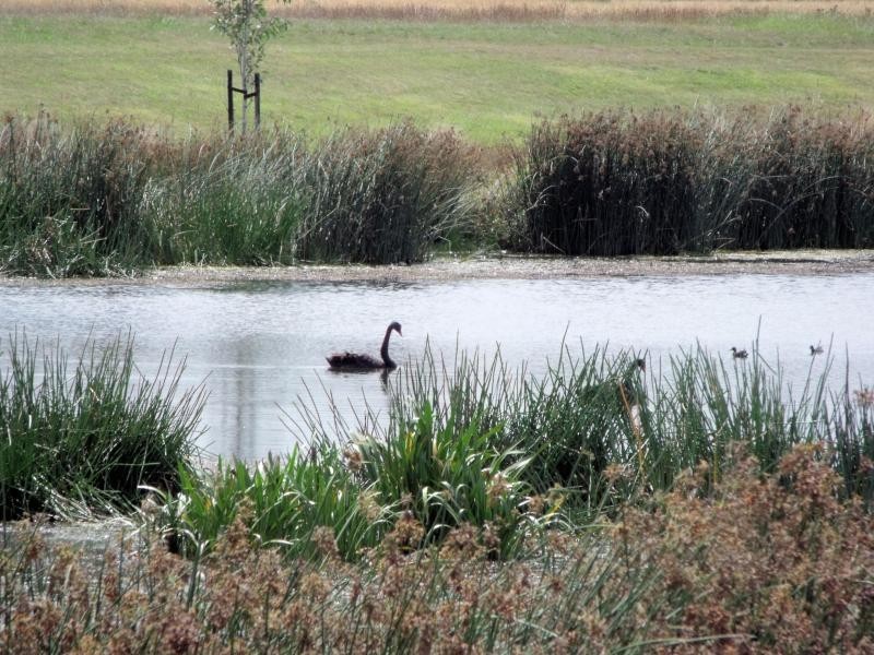 Cranbourne East VIC 3977