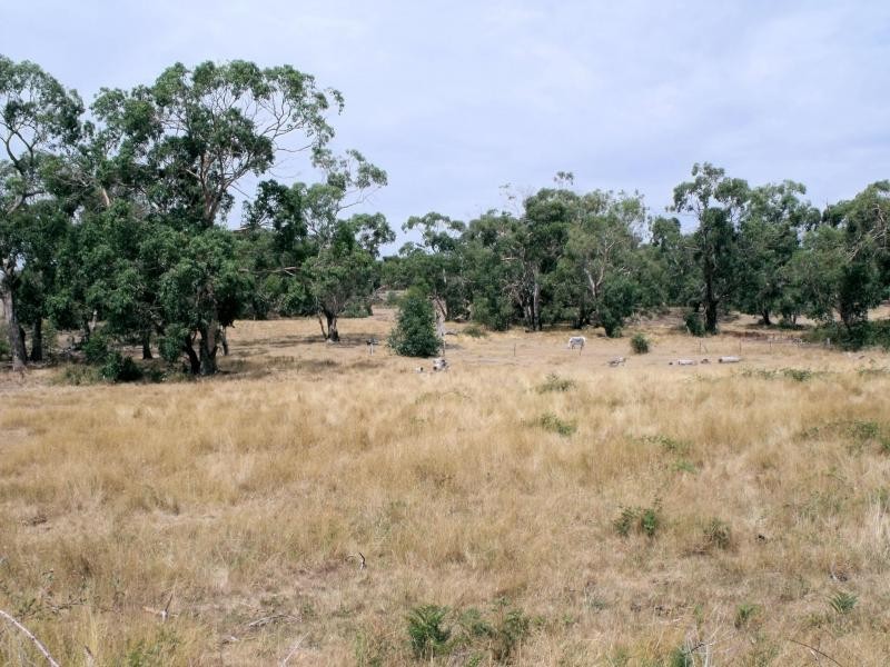 Langwarrin VIC 3910
