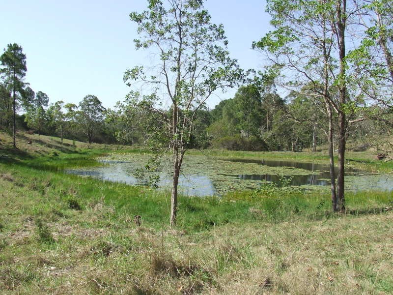 310 Moorina Road, Moorina QLD 4506