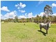 18 Leonard Court, Burpengary QLD 4505