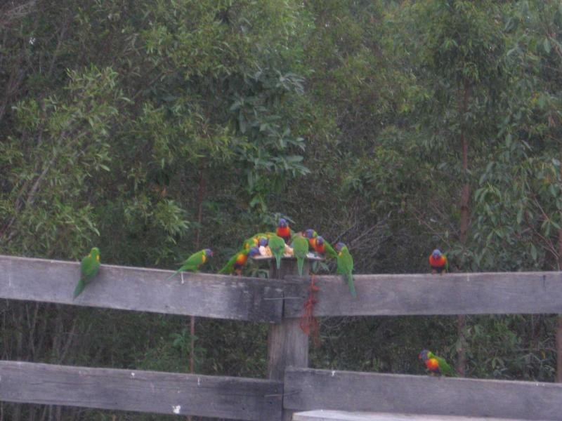 Narangba QLD 4504
