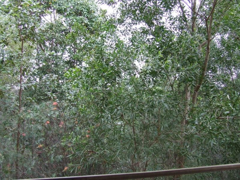 Narangba QLD 4504