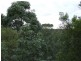 Narangba QLD 4504