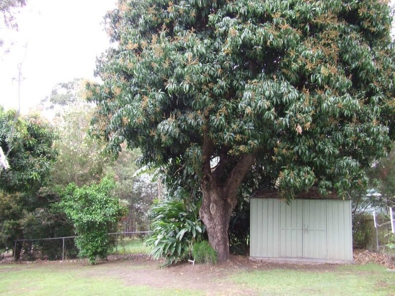 34 Swete Street, Narangba QLD 4504