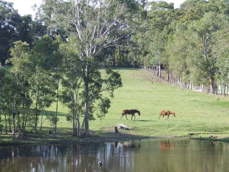 168 Callaghan Road, Narangba QLD 4504