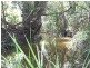 Narangba QLD 4504
