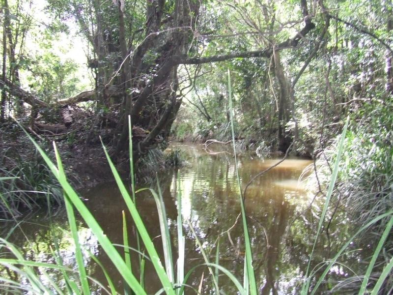 Narangba QLD 4504