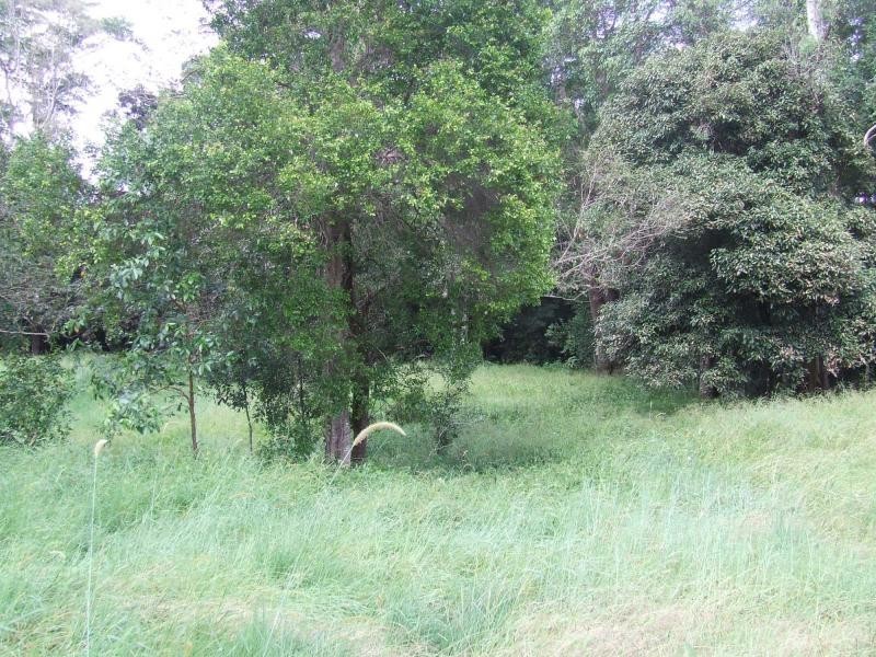 Narangba QLD 4504