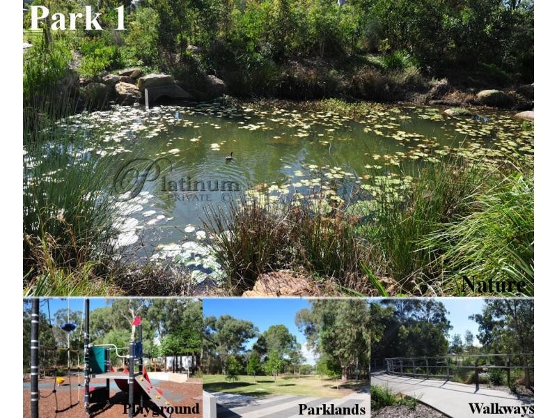 8 Torrens Crescent, Wakerley QLD 4154