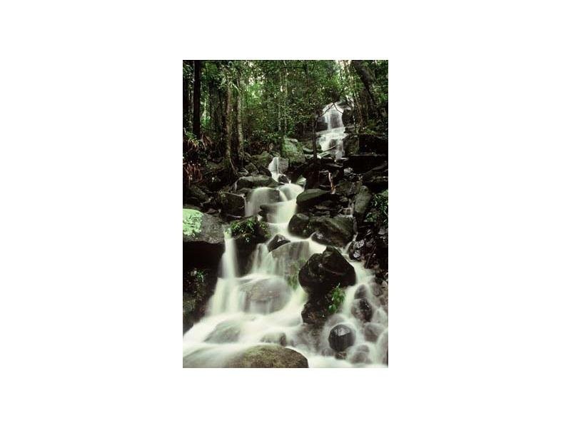 138 Gerrard Road, Montville QLD 4560