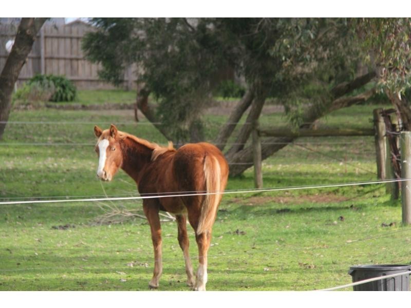 lot 27 (LAND) Blue Water Drive, THE OASIS, Mount Martha VIC 3934