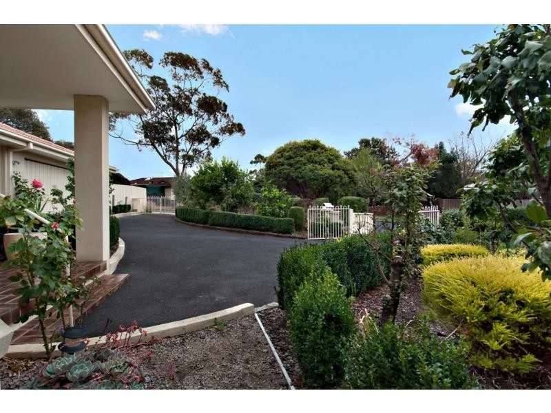 16 Sanderling Cres, Mornington VIC 3931