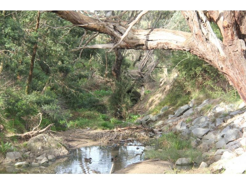 L29 Blue Water Drive, House And Land, Mount Martha VIC 3934