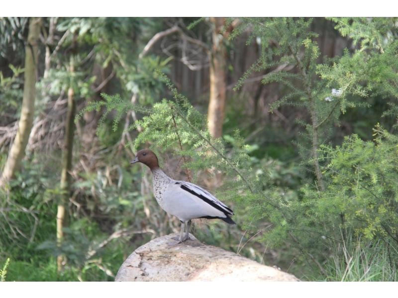 2 Blue Water Drive, Mount Martha VIC 3934