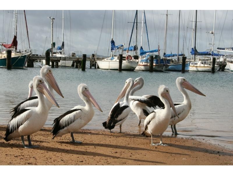 6/277 Marine Parade, Hastings VIC 3915