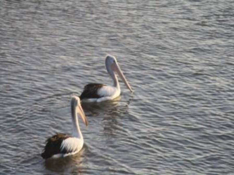 17/157-159 MARINE PARADE, San Remo VIC 3925