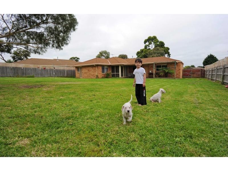 29 Parwan Crescent, Mornington VIC 3931