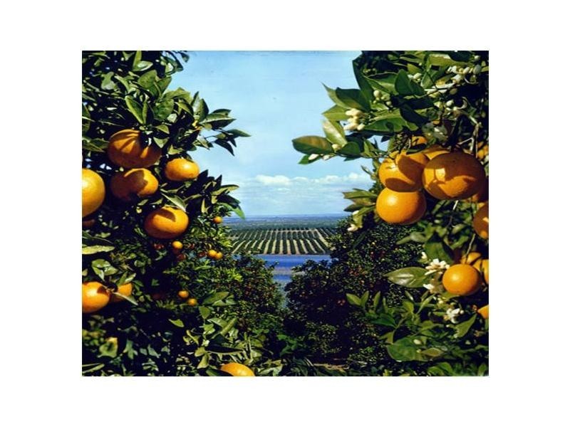 Mount Martha VIC 3934