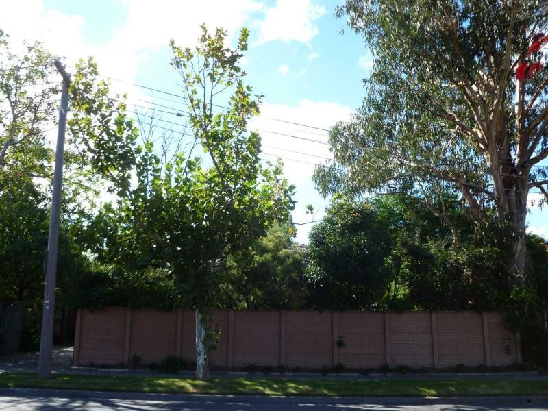 100 Highfield Road, Canterbury VIC 3126
