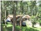 37 Cowarra Close, Wauchope NSW 2446