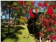 239 King Creek Road, King Creek NSW 2446