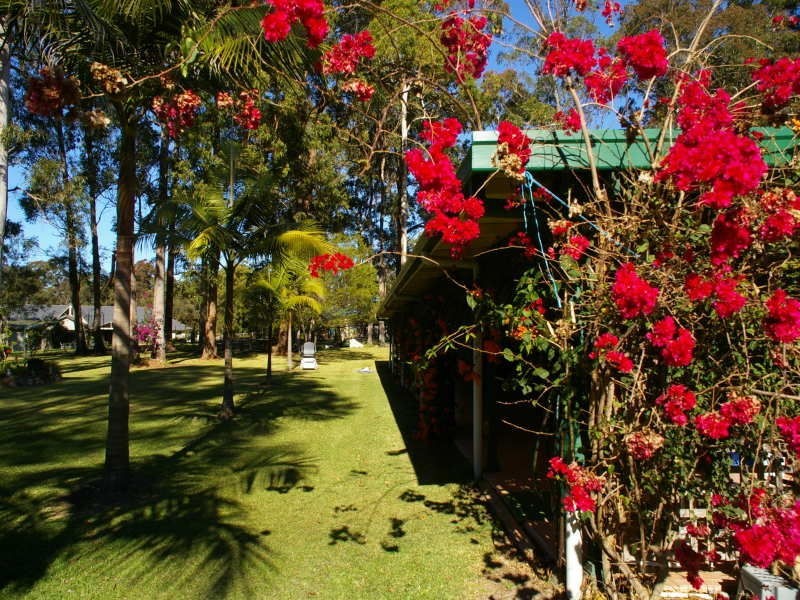 239 King Creek Road, King Creek NSW 2446