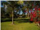 239 King Creek Road, King Creek NSW 2446