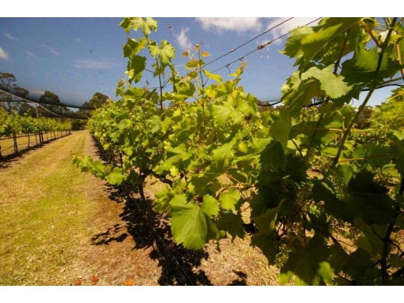 6 Cooinda Place, Lake Cathie NSW 2445