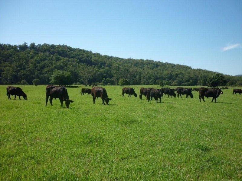 160 Logans Crossing Road, Kendall NSW 2439