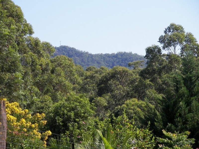 41 Burrawan Drive, Wauchope NSW 2446