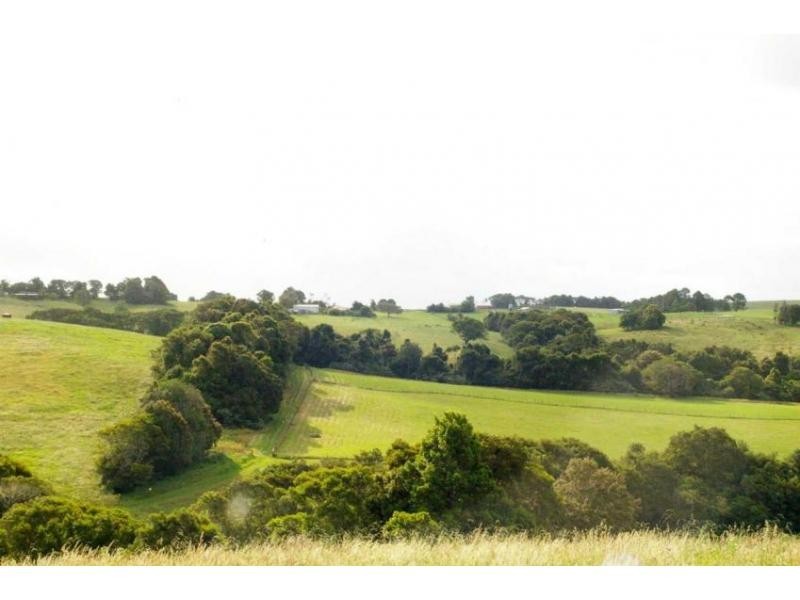 3684 Wingham Road, Comboyne NSW 2429