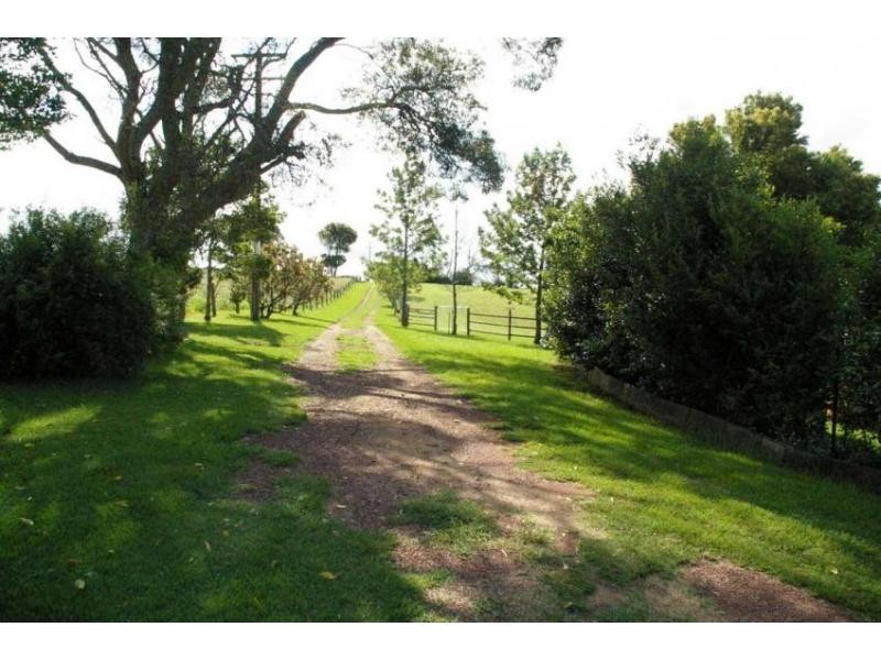 3684 Wingham Road, Comboyne NSW 2429