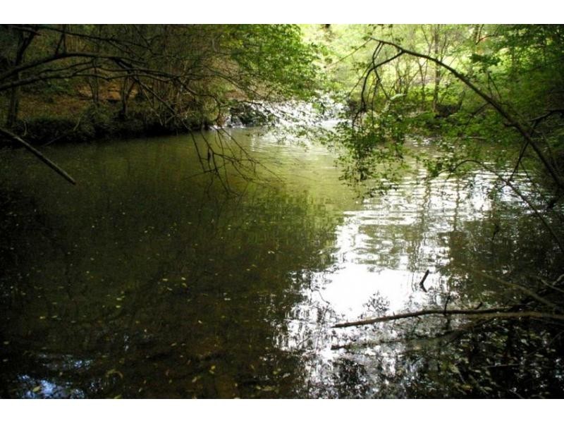 3684 Wingham Road, Comboyne NSW 2429