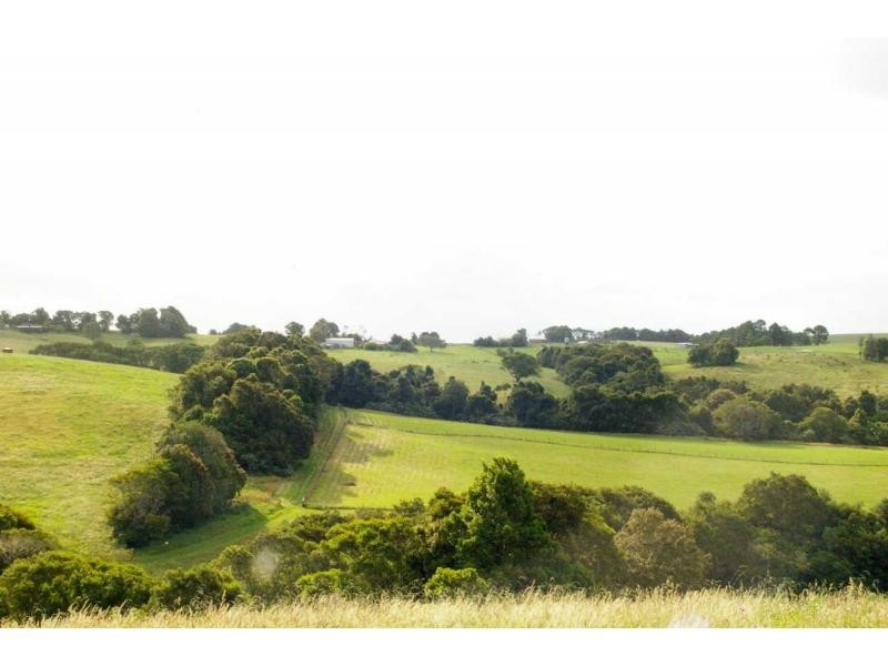 3684 Wingham Road, Comboyne NSW 2429