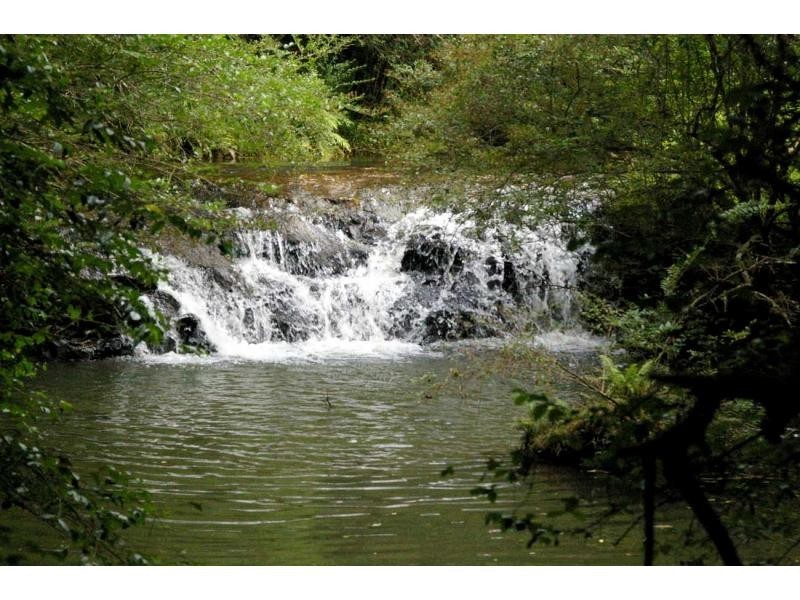 3684 Wingham Road, Comboyne NSW 2429