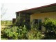 3687 Wingham Road, Comboyne NSW 2429