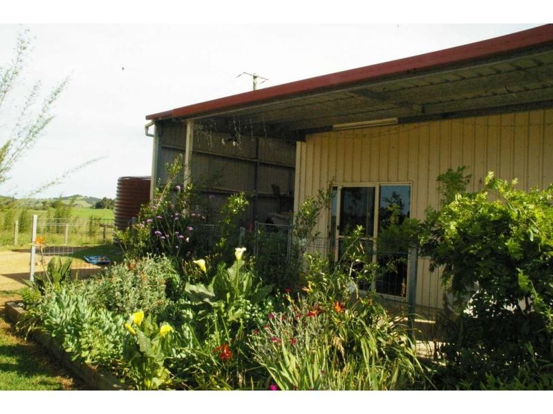 3687 Wingham Road, Comboyne NSW 2429