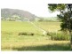 3687 Wingham Road, Comboyne NSW 2429