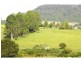 3687 Wingham Road, Comboyne NSW 2429
