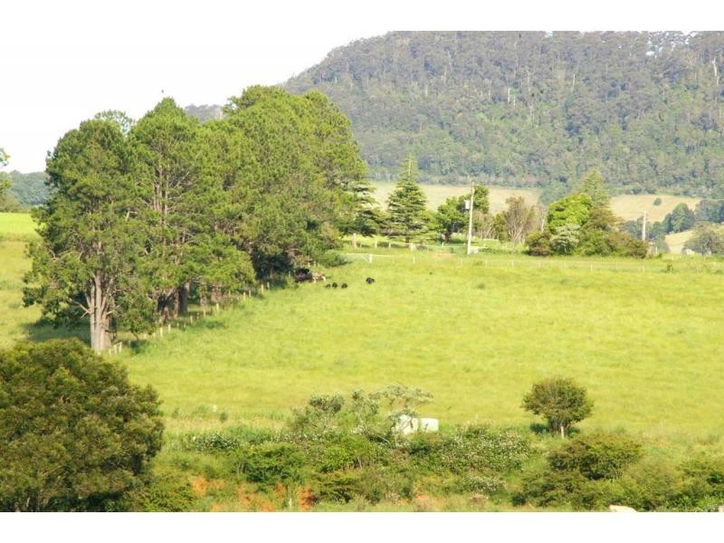 3687 Wingham Road, Comboyne NSW 2429