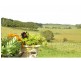 3687 Wingham Road, Comboyne NSW 2429