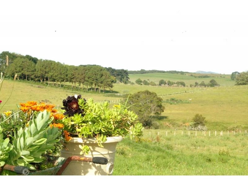 3687 Wingham Road, Comboyne NSW 2429