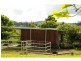 3687 Wingham Road, Comboyne NSW 2429