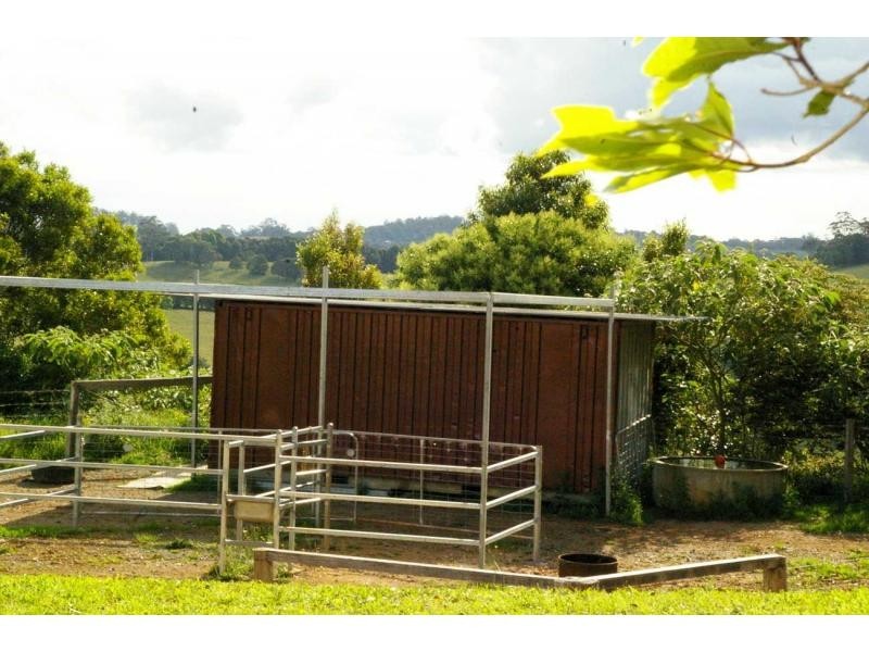 3687 Wingham Road, Comboyne NSW 2429